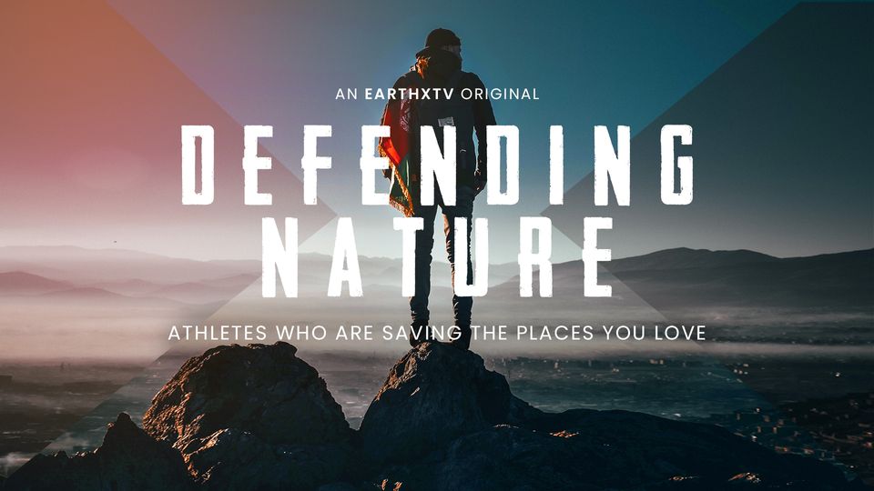 Defending Nature