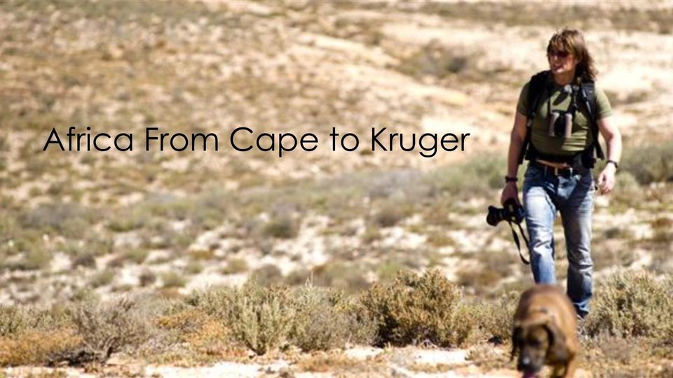 Africa From Cape To Kruger