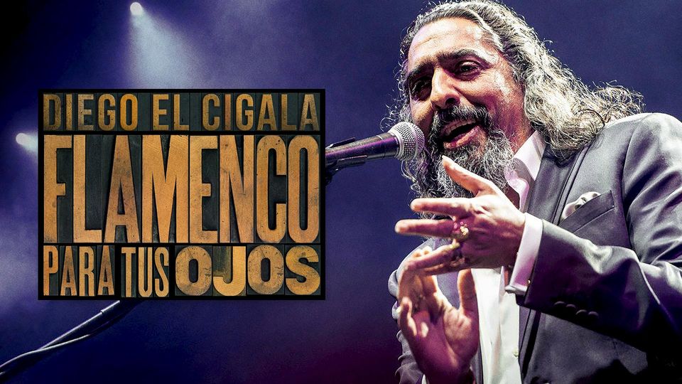 Flamenco para tus ojos
