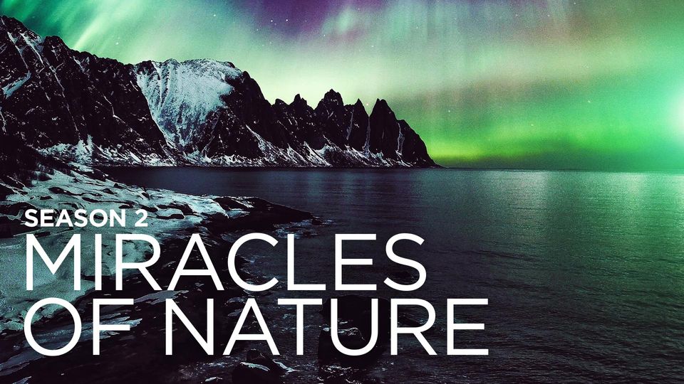Miracles of Nature