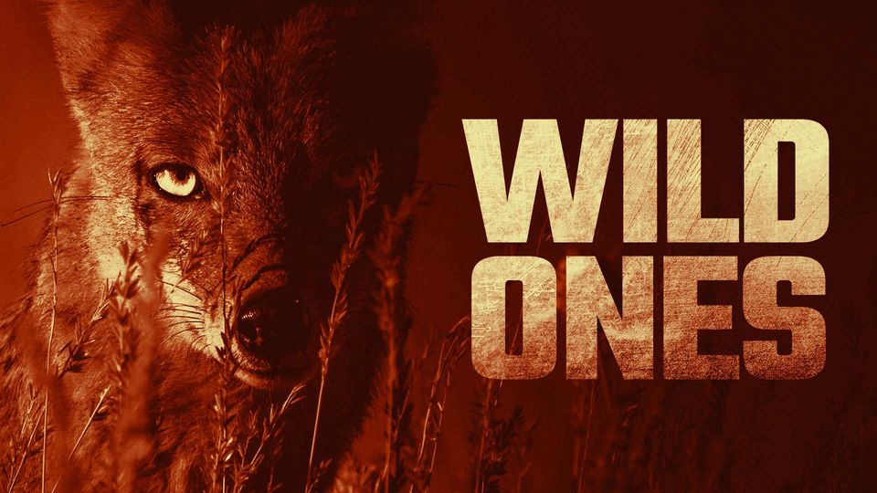 Wild Ones