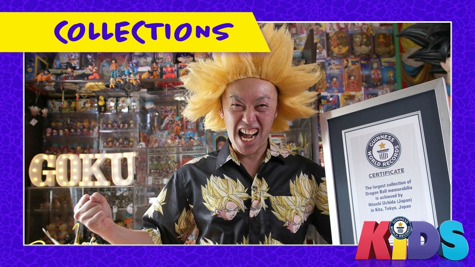 Incredible Record Breakers: Collections