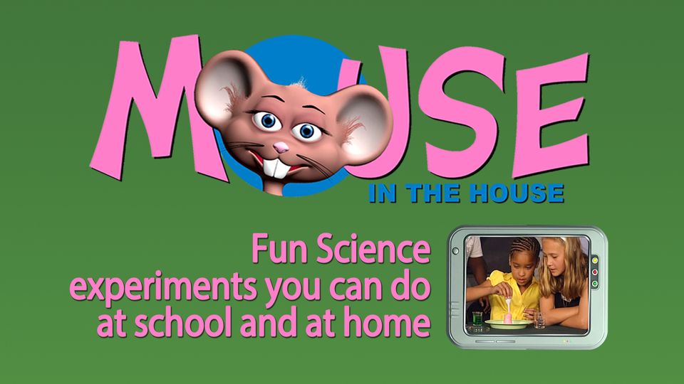 Mouse In The House